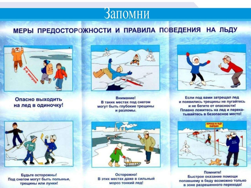 Поведение на льду.